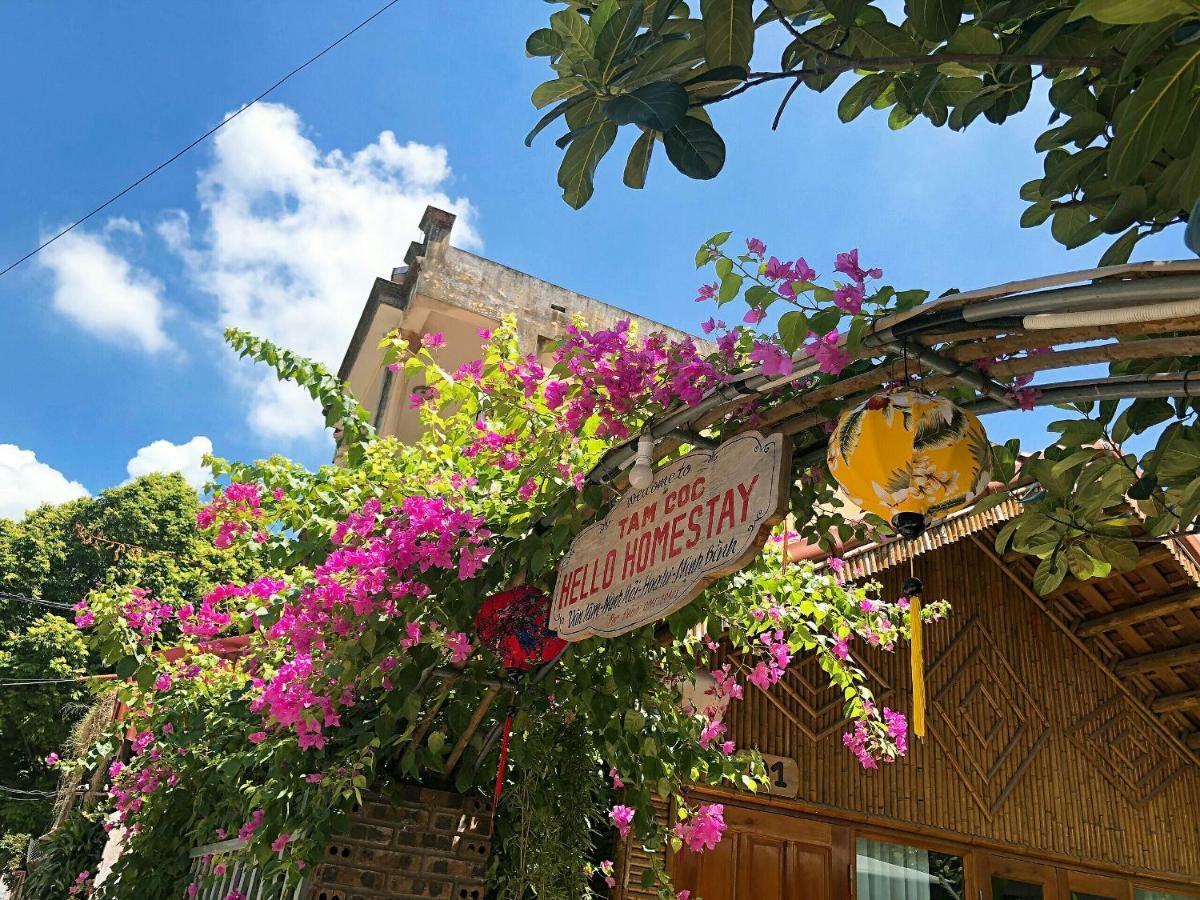 Tam Coc Hello Homestay Ninh Binh Bagian luar foto