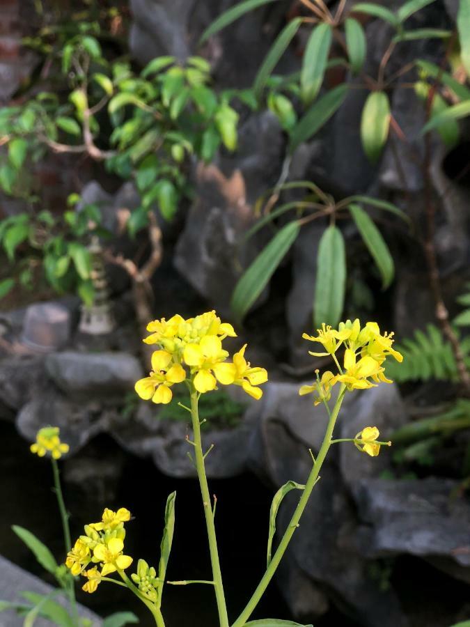 Tam Coc Hello Homestay Ninh Binh Bagian luar foto